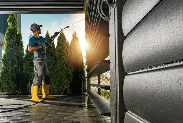 Best Gutter Cleaning  in Pelican Rapids, MN